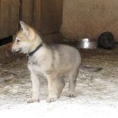 img_3869-custom
