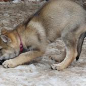 img_3993-custom