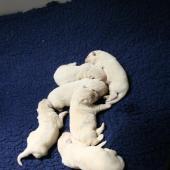 img_0791-custom