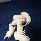 img_0792-custom