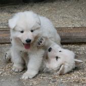 img_1692_edited-custom