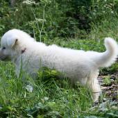 img_1921_edited-custom