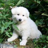 img_1971_edited-custom
