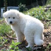 img_1979_edited-custom