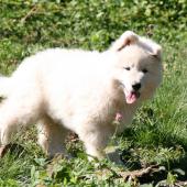 img_2585_edited-custom