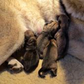 img_0172_edited-custom