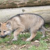 img_7782_edited-custom