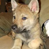 img_1025_edited-custom