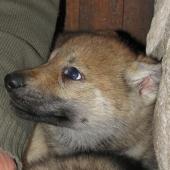 img_1029_edited-custom