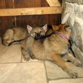 img_1044_edited-custom