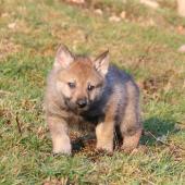 img_7860_edited-custom