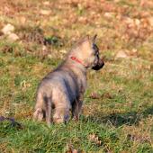 img_7869_edited-custom