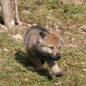 img_7930_edited-custom