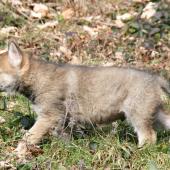 img_8001_edited-custom