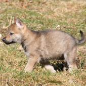 img_8051_edited-custom