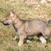 img_8052_edited-custom