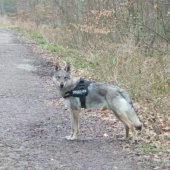 Haska Milla