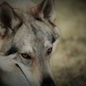 IMG_0289