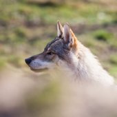 IMG_3099