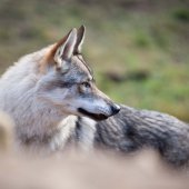 IMG_3105
