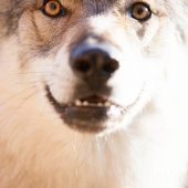 IMG_3112