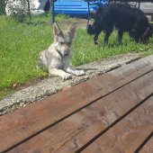 IMG-20170527-WA0006