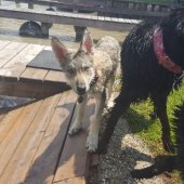 IMG-20170527-WA0007