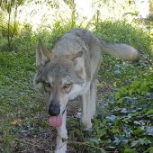 IMG-20170701-WA0000