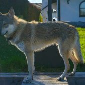 IMG-20171026-WA0005(1)