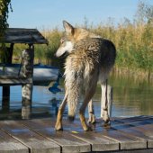 IMG-20171026-WA0012