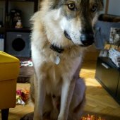 IMG-20171029-WA0005