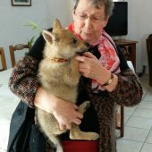 IMG_20170401_155443