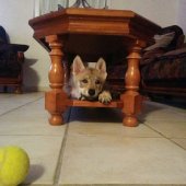 IMG_20170411_210233
