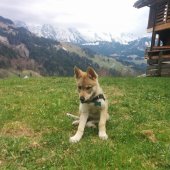IMG_20170415_181702