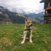 IMG_20170415_181705