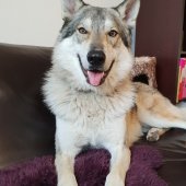 Flynn