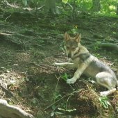 thumbnail_20170605_134904