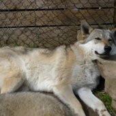 thumbnail_Nebraska 08_04_18