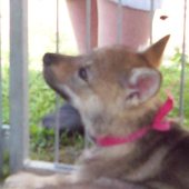 100_1147_edited