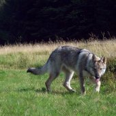 100_2195_edited