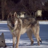 100_3555_edited