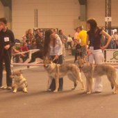 expos-de-strasbourg-064