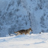 img_0759_edited