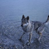 img_2381