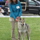 img_6132_edited-custom_0