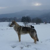 imgp0607