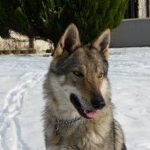 imgp0930