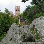 imgp1345