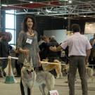 Expo Canine Metz-31