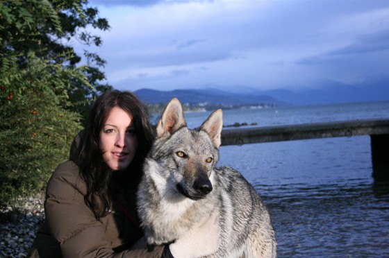 site de rencontre pour chien et maitre